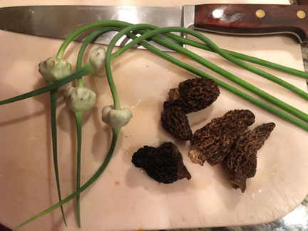 Garlic Scapes and Morel Mushrooms